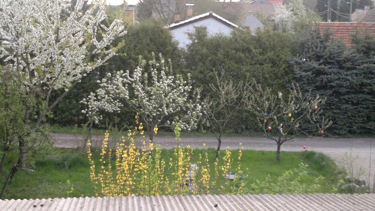 Restaurant Pension Lubusch Gahro מראה חיצוני תמונה